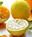 lemon-01.jpg