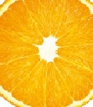 orange2-01.jpg