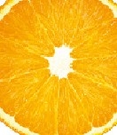 orange2-01.jpg